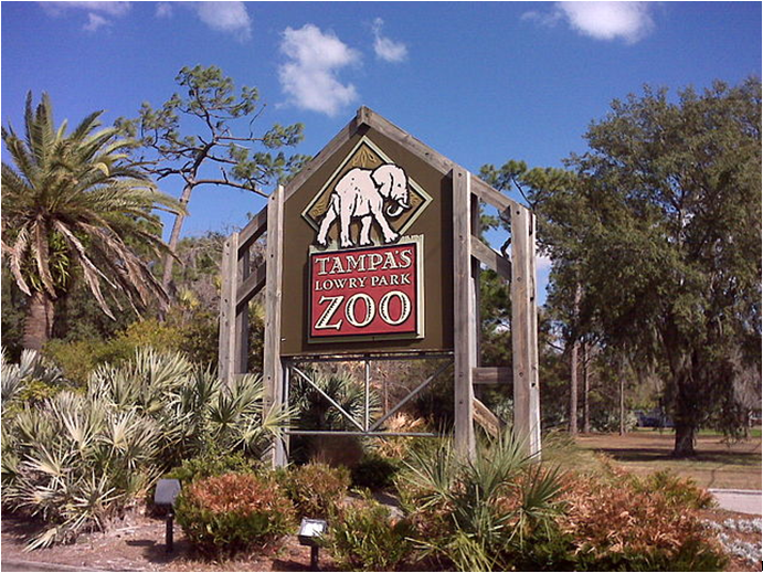 Lowry-park-zoo-Tampa
